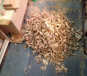 Big pile of Alder shavings.